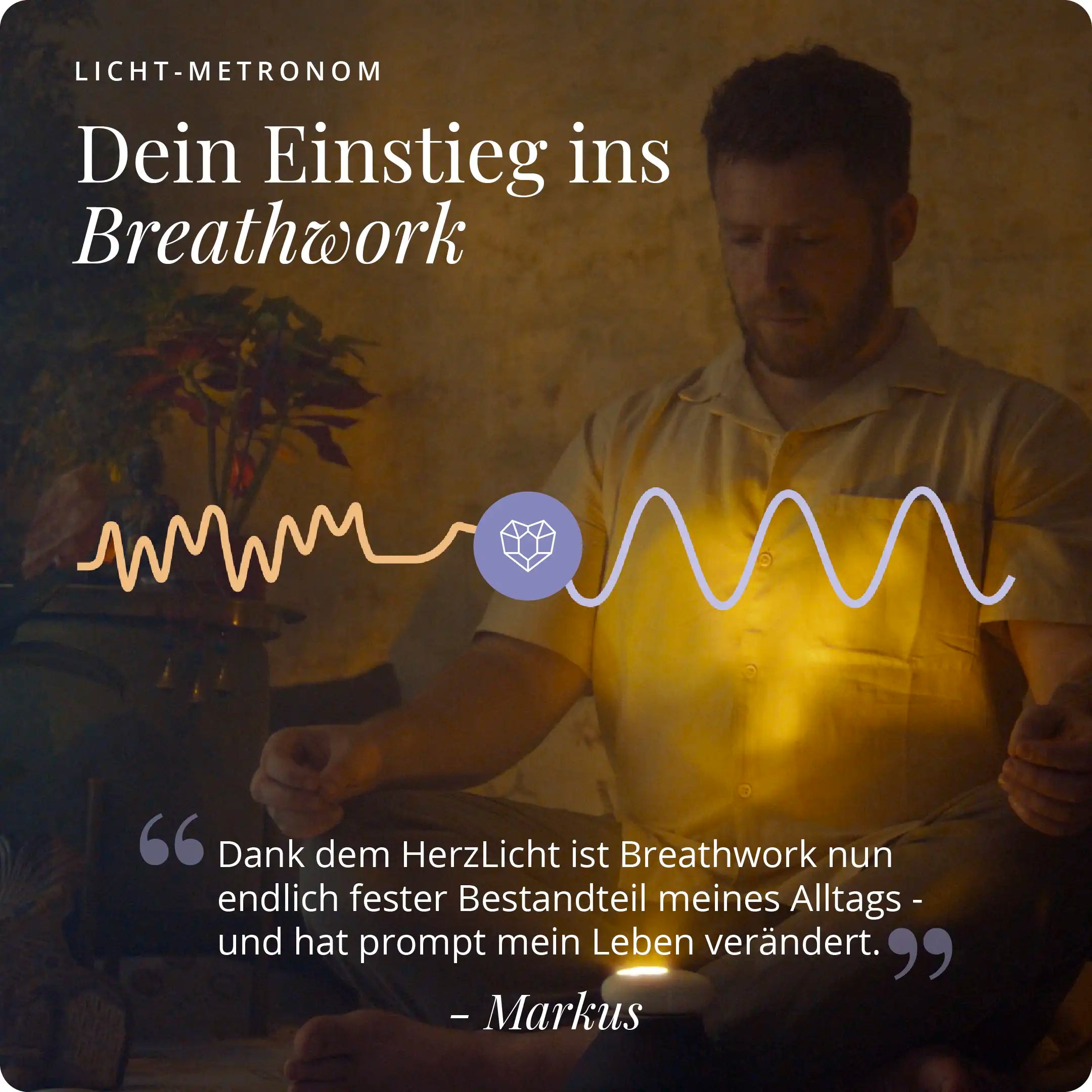 HerzLicht GOLD