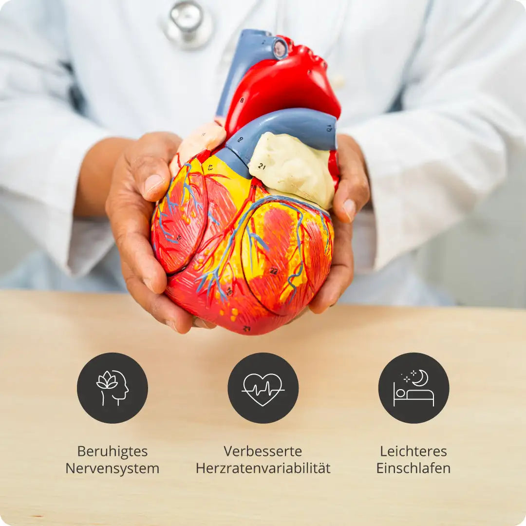 HerzLicht CARE (inkl. Atemübungen)